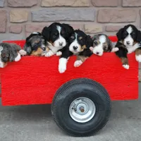 processed/52e83544-172d-4f94-ab9c-506a3bea59e4/facility/9cf002b4-3fc3-41d6-a508-97d065085e88