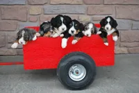 processed/52e83544-172d-4f94-ab9c-506a3bea59e4/facility/9cf002b4-3fc3-41d6-a508-97d065085e88