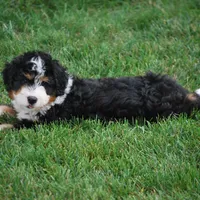 processed/52e83544-172d-4f94-ab9c-506a3bea59e4/facility/cf42232f-36c9-4a1e-b7e5-6fa75614b0fe