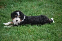 processed/52e83544-172d-4f94-ab9c-506a3bea59e4/facility/cf42232f-36c9-4a1e-b7e5-6fa75614b0fe