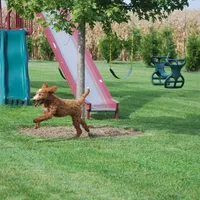 processed/52e83544-172d-4f94-ab9c-506a3bea59e4/facility/d3ab39e6-9bde-4b4c-83b2-8f1181b1bfec