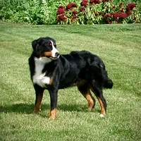 processed/52e83544-172d-4f94-ab9c-506a3bea59e4/facility/f983f6af-ec77-4602-887a-4e1f342566e8