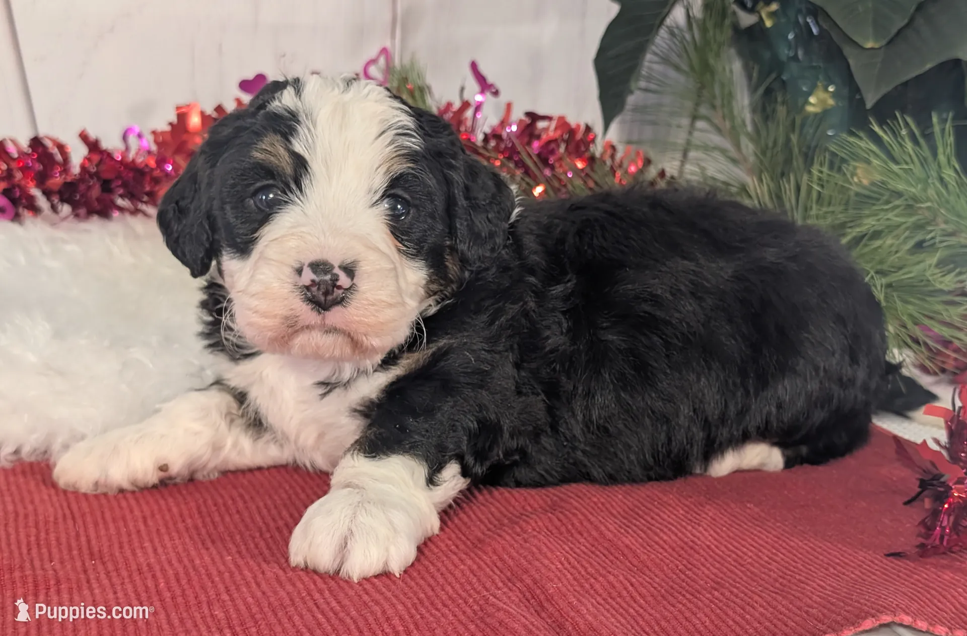 processed/52e83544-172d-4f94-ab9c-506a3bea59e4/listing/f87aaeb2-00cf-41f5-b894-b4e72fb44707/23d92874-ca2e-4efe-a01d-6022424a40b7