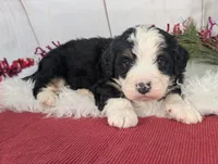 processed/52e83544-172d-4f94-ab9c-506a3bea59e4/listing/f87aaeb2-00cf-41f5-b894-b4e72fb44707/29eb33f1-ea57-4834-8161-a5a1be82d929