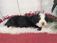 processed/52e83544-172d-4f94-ab9c-506a3bea59e4/listing/f87aaeb2-00cf-41f5-b894-b4e72fb44707/5de05132-20a9-4da1-ba1b-c8072899a700