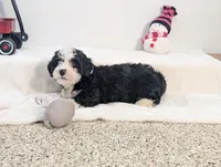 processed/52e83544-172d-4f94-ab9c-506a3bea59e4/listing/f87aaeb2-00cf-41f5-b894-b4e72fb44707/72395eda-231e-4493-a621-2f6a1973479c