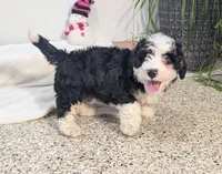 processed/52e83544-172d-4f94-ab9c-506a3bea59e4/listing/f87aaeb2-00cf-41f5-b894-b4e72fb44707/84498030-ae6f-44d2-b1f0-946edd70432f