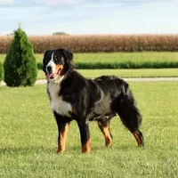 processed/52e83544-172d-4f94-ab9c-506a3bea59e4/listing/f87aaeb2-00cf-41f5-b894-b4e72fb44707/851a79c3-4eba-43a1-b8f4-f79c702bfd63