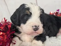 processed/52e83544-172d-4f94-ab9c-506a3bea59e4/listing/f87aaeb2-00cf-41f5-b894-b4e72fb44707/916afe7a-e375-4842-9e87-db15764e28e9