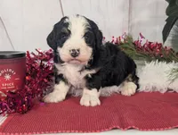 processed/52e83544-172d-4f94-ab9c-506a3bea59e4/listing/f87aaeb2-00cf-41f5-b894-b4e72fb44707/91963eef-cdce-4f78-9a29-fdfd8b3a8476