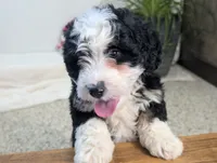 processed/52e83544-172d-4f94-ab9c-506a3bea59e4/listing/f87aaeb2-00cf-41f5-b894-b4e72fb44707/eb18ad80-e8ae-4da2-89de-7d3bb77cf07b