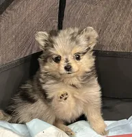 processed/52f49687-537c-4588-bf91-8098e1ac2b05/facility/04315acb-edef-49be-826c-ca4dc37ffdde