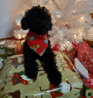 processed/52f67151-d47b-433c-9892-7b1437078bf4/listing/132b80d2-23de-45b1-85d7-5da98d8c2547/4ebb349c-6483-423d-8634-0b393f0c543b