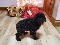 processed/52f67151-d47b-433c-9892-7b1437078bf4/listing/132b80d2-23de-45b1-85d7-5da98d8c2547/a2681a47-9645-4917-be6b-18316f468a79