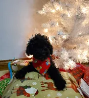 processed/52f67151-d47b-433c-9892-7b1437078bf4/listing/132b80d2-23de-45b1-85d7-5da98d8c2547/a2f5cbd8-2781-4f36-8b75-e24b50fd38ec