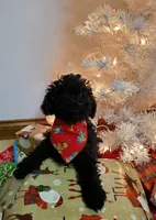 processed/52f67151-d47b-433c-9892-7b1437078bf4/listing/132b80d2-23de-45b1-85d7-5da98d8c2547/a55082c3-5580-4e36-9ebd-75093b09ac2a