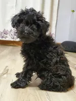 processed/52f67151-d47b-433c-9892-7b1437078bf4/listing/132b80d2-23de-45b1-85d7-5da98d8c2547/ea45de42-ce8c-4565-9da5-92d1ce5bb7fa