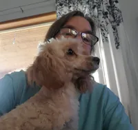 processed/52f67151-d47b-433c-9892-7b1437078bf4/listing/a3f361a2-f06b-4968-b6e3-fa9052aad5ab/151ea7a4-17b1-4106-a36f-50fcd59dcfe7