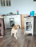 processed/52f67151-d47b-433c-9892-7b1437078bf4/listing/a3f361a2-f06b-4968-b6e3-fa9052aad5ab/bdbfc040-535a-48fd-837e-7b605a6493d0