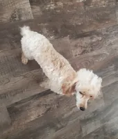 processed/52f67151-d47b-433c-9892-7b1437078bf4/listing/a3f361a2-f06b-4968-b6e3-fa9052aad5ab/c2104665-b048-4122-9a5d-91d8ca29e23d