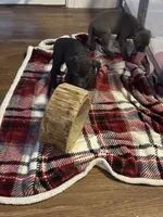 processed/52fe33b9-700a-48d6-9e62-22516385d615/facility/0485ac27-a720-44c5-8ddf-bc8204cc82ff