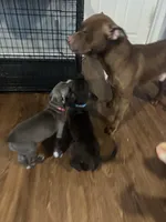 processed/52fe33b9-700a-48d6-9e62-22516385d615/facility/c593e444-1eb4-4f32-97cb-3ff7e10f5d6a