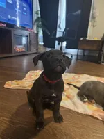 processed/52fe33b9-700a-48d6-9e62-22516385d615/facility/e7aa7b8a-b37b-4aad-a82e-75c95e483b10