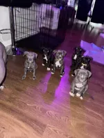 processed/52fe33b9-700a-48d6-9e62-22516385d615/facility/f1ea79fe-f6e6-4633-a2a6-bcf4334039cd