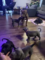 processed/52fe33b9-700a-48d6-9e62-22516385d615/facility/f68851fe-463f-4c4a-bafc-d8a5f6957f59