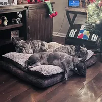 processed/52fef6f0-0d12-40b4-b0db-25ed608fb94f/facility/097c9690-17e8-4f2f-be70-bb9591241724