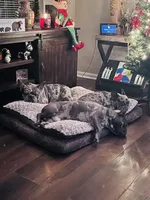 processed/52fef6f0-0d12-40b4-b0db-25ed608fb94f/facility/097c9690-17e8-4f2f-be70-bb9591241724