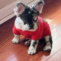 processed/52fef6f0-0d12-40b4-b0db-25ed608fb94f/facility/1ad2e222-49ce-47c8-b31f-d7a33b3737cc