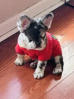 processed/52fef6f0-0d12-40b4-b0db-25ed608fb94f/facility/1ad2e222-49ce-47c8-b31f-d7a33b3737cc