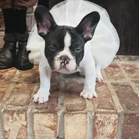 processed/52fef6f0-0d12-40b4-b0db-25ed608fb94f/facility/32505095-43c2-4486-9810-64a63fc6bfa6