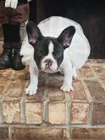 processed/52fef6f0-0d12-40b4-b0db-25ed608fb94f/facility/32505095-43c2-4486-9810-64a63fc6bfa6