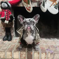 processed/52fef6f0-0d12-40b4-b0db-25ed608fb94f/facility/6821cd0d-8168-4e26-9f35-50133728afa8