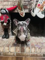 processed/52fef6f0-0d12-40b4-b0db-25ed608fb94f/facility/6821cd0d-8168-4e26-9f35-50133728afa8