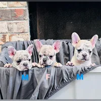 processed/52fef6f0-0d12-40b4-b0db-25ed608fb94f/facility/6ec42417-132a-43aa-a614-1f44cecd6e7a