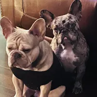 processed/52fef6f0-0d12-40b4-b0db-25ed608fb94f/facility/af398fa3-a75b-4ed7-830b-304a98ee3793