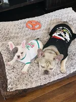 processed/52fef6f0-0d12-40b4-b0db-25ed608fb94f/facility/b9f92209-a394-4a94-ae51-097259425518