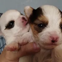 processed/5302bc61-1ac5-4438-b979-9d9a38ef1248/facility/b81eabe3-480b-47b0-94cc-c65b5682e092