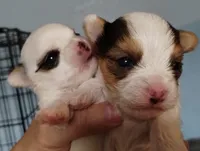 processed/5302bc61-1ac5-4438-b979-9d9a38ef1248/facility/b81eabe3-480b-47b0-94cc-c65b5682e092