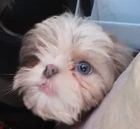 processed/5302bc61-1ac5-4438-b979-9d9a38ef1248/listing/4a05fbaf-e828-46d9-9e33-ce52f238ae81/6e5c4599-b7a5-402c-885c-4c4abf5cadfb