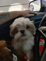 processed/5302bc61-1ac5-4438-b979-9d9a38ef1248/listing/4a05fbaf-e828-46d9-9e33-ce52f238ae81/8263e3c9-7a6d-492a-be3a-ee145dea4ffd