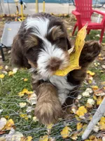 processed/53149929-b4a0-4c48-895c-cb7bcc96a2b3/facility/0398d1f8-6c93-495e-887d-cbf8c5b47126