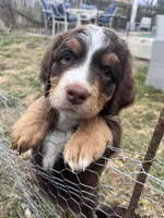 processed/53149929-b4a0-4c48-895c-cb7bcc96a2b3/facility/07a910ff-3c5e-4c58-8fcd-d3d2224e8c0c