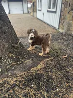 processed/53149929-b4a0-4c48-895c-cb7bcc96a2b3/facility/37480218-46fb-4809-a7a2-ce771feedf87