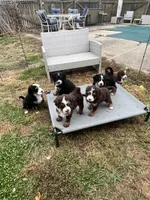 processed/53149929-b4a0-4c48-895c-cb7bcc96a2b3/facility/698cff6a-fcdb-4c5d-a3f9-48956d97dbf7