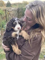 processed/53149929-b4a0-4c48-895c-cb7bcc96a2b3/facility/e2cc6be7-8c09-49cf-9dab-5d9caf0ded9b