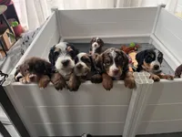 processed/53149929-b4a0-4c48-895c-cb7bcc96a2b3/facility/f768c233-5b36-499b-84e8-7277ed55e6c9